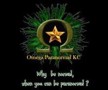 Load image into Gallery viewer, Custom for April - Omega Paranormal why be normal