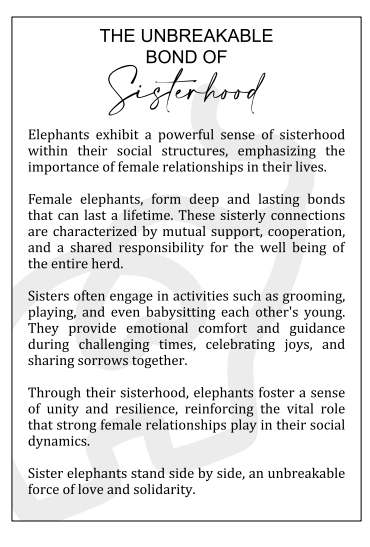 Elephant Ornament -  Unbreakable Bond of Sisterhood /Friendship