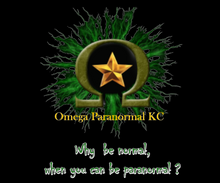 Load image into Gallery viewer, Custom for April - Omega Paranormal why be normal
